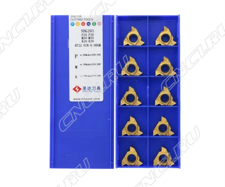 RT22.01N-6.00GM-YBG201 Пластина резьбовая